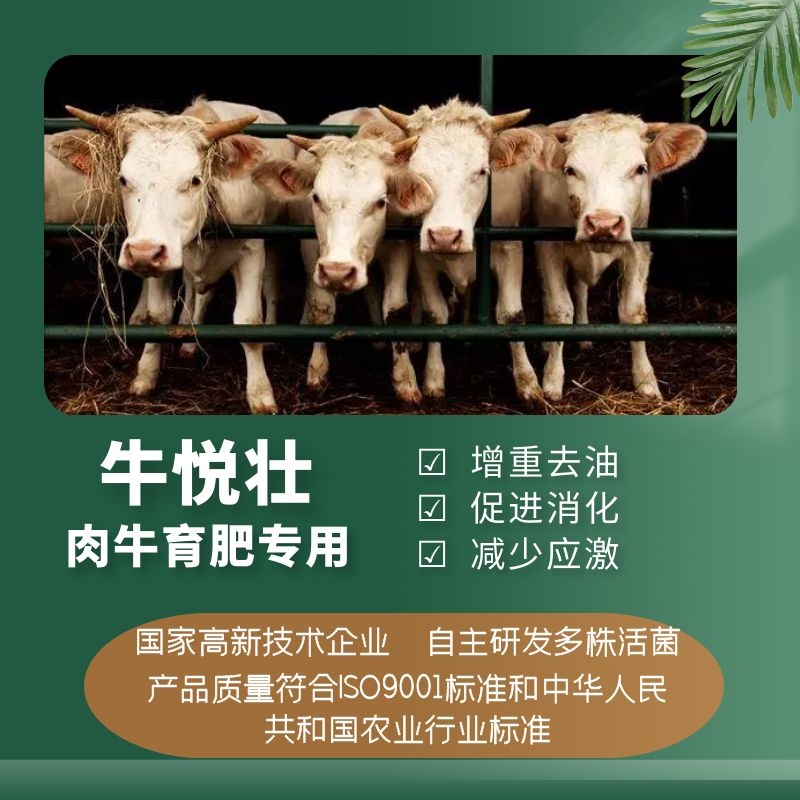 牛悅壯